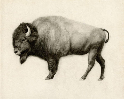 High Plains II White Modern Wood Framed Art Print with Double Matting by Borges, Victoria