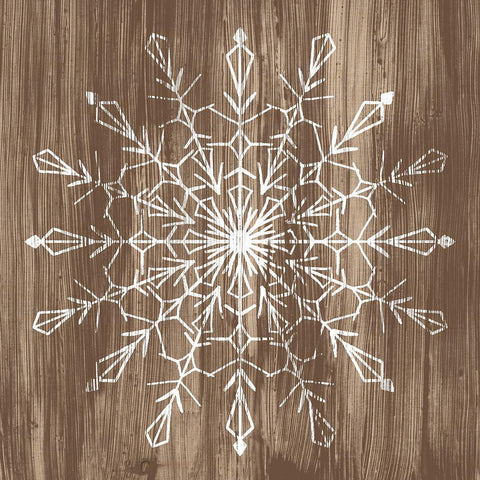 Barnwood Wonderland VI Black Ornate Wood Framed Art Print with Double Matting by Vess, June Erica