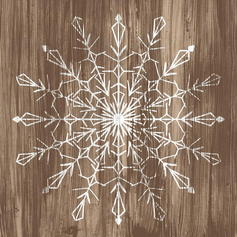 Barnwood Wonderland VI Gold Ornate Wood Framed Art Print with Double Matting by Vess, June Erica