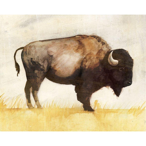 Roam II Black Modern Wood Framed Art Print with Double Matting by Borges, Victoria