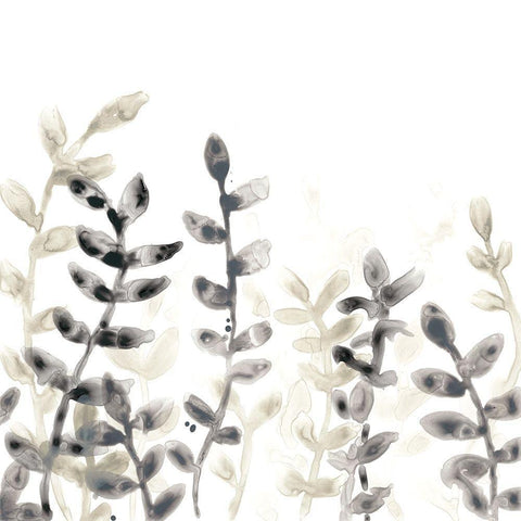 Liquid Stems IV White Modern Wood Framed Art Print with Double Matting by Vess, June Erica