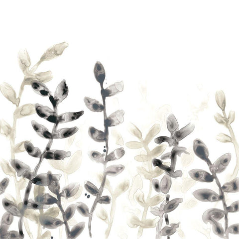 Liquid Stems IV Black Modern Wood Framed Art Print by Vess, June Erica