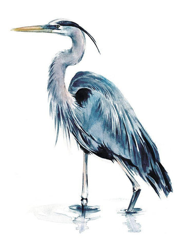 Blue Blue Heron II White Modern Wood Framed Art Print with Double Matting by Parker, Jennifer Paxton