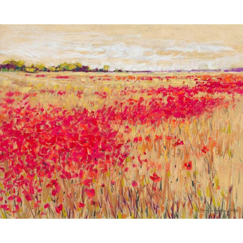 Poppies Evening Light I White Modern Wood Framed Art Print by Gardner, Jennifer