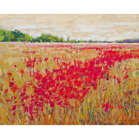 Poppies Evening Light II Black Modern Wood Framed Art Print with Double Matting by Gardner, Jennifer