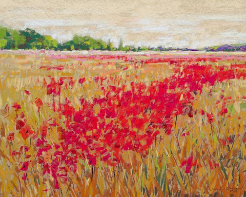 Poppies Evening Light II Black Ornate Wood Framed Art Print with Double Matting by Gardner, Jennifer