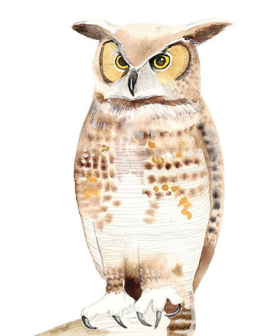 Hoo Dis I White Modern Wood Framed Art Print with Double Matting by Ludwig, Alicia