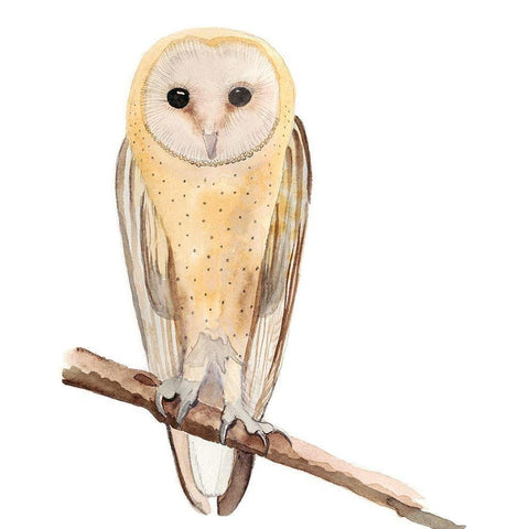 Hoo Dis II White Modern Wood Framed Art Print by Ludwig, Alicia