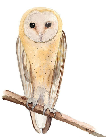 Hoo Dis II White Modern Wood Framed Art Print with Double Matting by Ludwig, Alicia