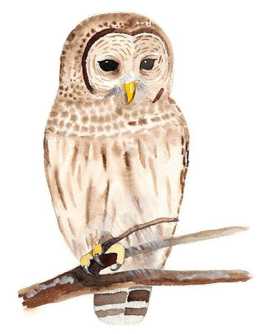 Hoo Dis III White Modern Wood Framed Art Print with Double Matting by Ludwig, Alicia