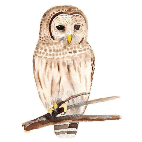 Hoo Dis III Black Modern Wood Framed Art Print with Double Matting by Ludwig, Alicia