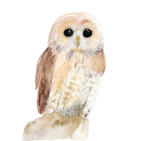 Hoo Dis IV White Modern Wood Framed Art Print by Ludwig, Alicia