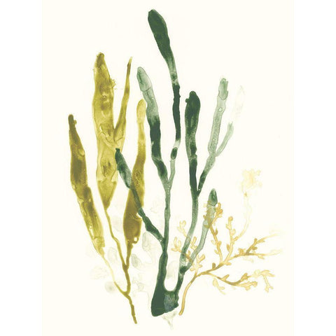 Kelp Collection I Black Modern Wood Framed Art Print by Vess, June Erica