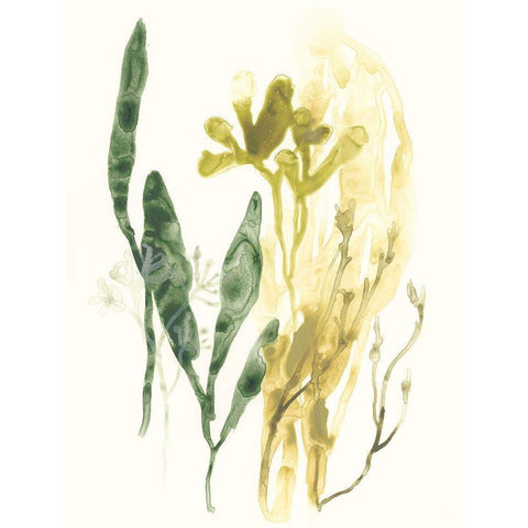 Kelp Collection VI Black Modern Wood Framed Art Print by Vess, June Erica