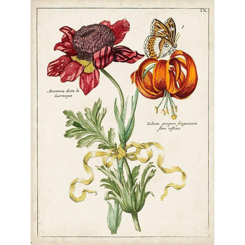 Botanical Bouquet II White Modern Wood Framed Art Print by Unknown