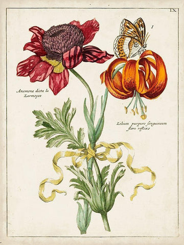 Botanical Bouquet II Black Ornate Wood Framed Art Print with Double Matting by Unknown