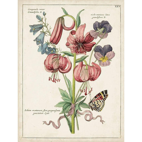 Botanical Bouquet III Gold Ornate Wood Framed Art Print with Double Matting by Unknown