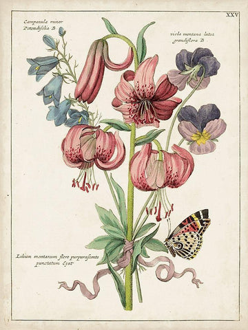 Botanical Bouquet III White Modern Wood Framed Art Print with Double Matting by Unknown
