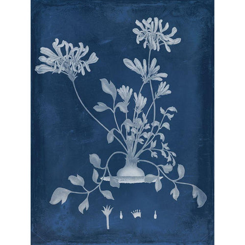 Botanical in Indigo II White Modern Wood Framed Art Print by Vision Studio