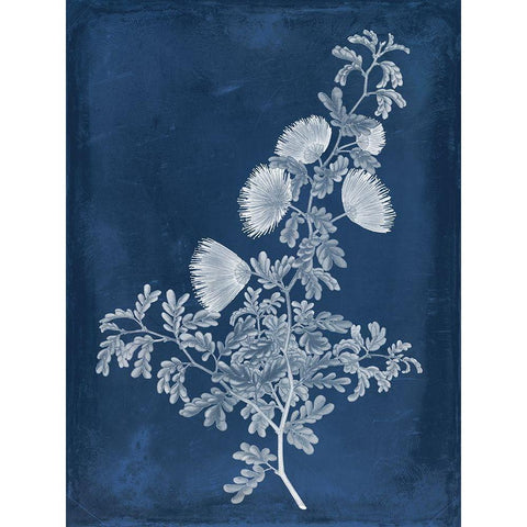 Botanical in Indigo IV Black Modern Wood Framed Art Print with Double Matting by Vision Studio