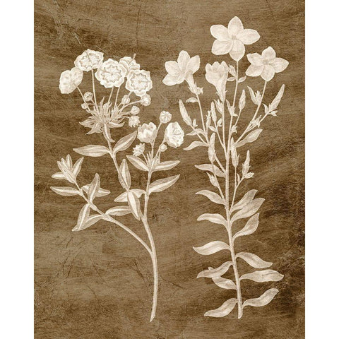 Botanical in Taupe I Black Modern Wood Framed Art Print with Double Matting by Vision Studio