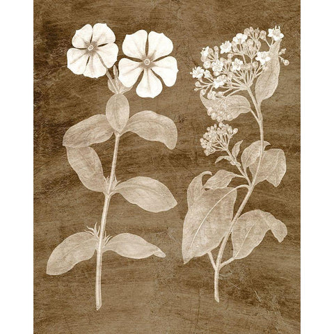 Botanical in Taupe IV White Modern Wood Framed Art Print by Vision Studio