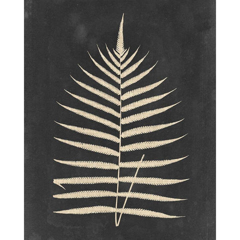 Linen Fern III Black Modern Wood Framed Art Print by Vision Studio