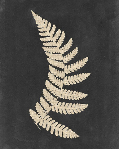 Linen Fern IV Black Ornate Wood Framed Art Print with Double Matting by Vision Studio