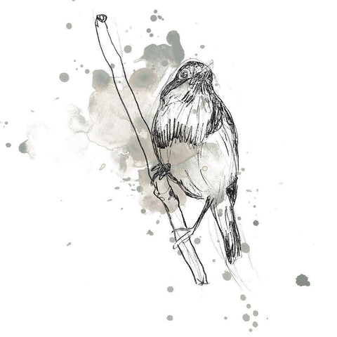 Gestural Bird Study III White Modern Wood Framed Art Print with Double Matting by Vess, June Erica