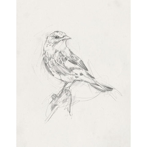 Avian StudyÂ  I Gold Ornate Wood Framed Art Print with Double Matting by Ethan Harper
