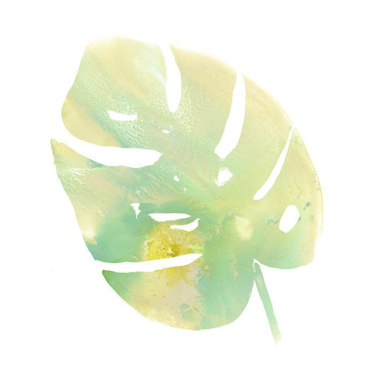 Image Only