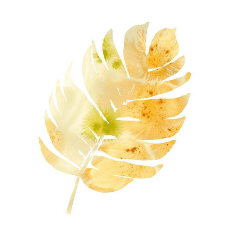 Prisma Tropical III Gold Ornate Wood Framed Art Print with Double Matting by Vess, June Erica