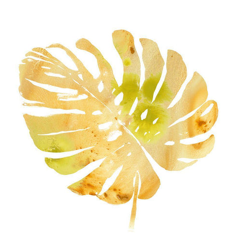 Prisma Tropical IV White Modern Wood Framed Art Print with Double Matting by Vess, June Erica