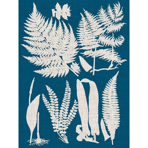 Linen and Blue Ferns I White Modern Wood Framed Art Print by Vision Studio