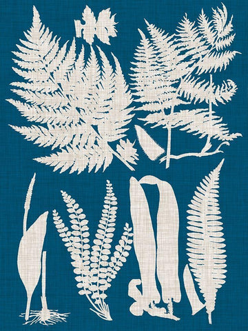 Linen and Blue Ferns I White Modern Wood Framed Art Print with Double Matting by Vision Studio