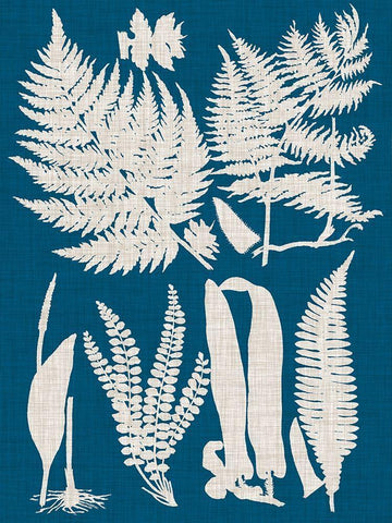 Linen and Blue Ferns I Black Ornate Wood Framed Art Print with Double Matting by Vision Studio