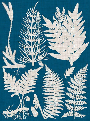 Linen and Blue Ferns II White Modern Wood Framed Art Print with Double Matting by Vision Studio