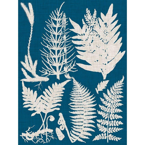 Linen and Blue Ferns II White Modern Wood Framed Art Print by Vision Studio