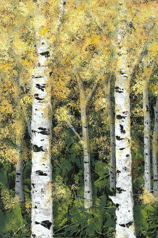 Birch Treeline I Black Ornate Wood Framed Art Print with Double Matting by Reynolds, Jade