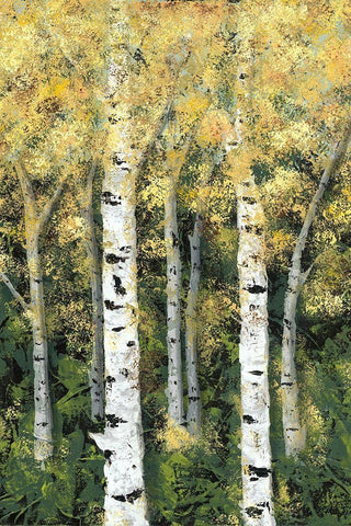 Birch Treeline II White Modern Wood Framed Art Print with Double Matting by Reynolds, Jade