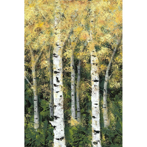 Birch Treeline II Black Modern Wood Framed Art Print with Double Matting by Reynolds, Jade