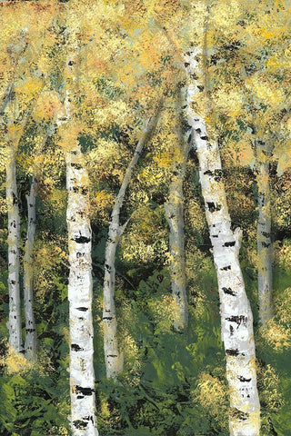 Birch Treeline III Black Ornate Wood Framed Art Print with Double Matting by Reynolds, Jade
