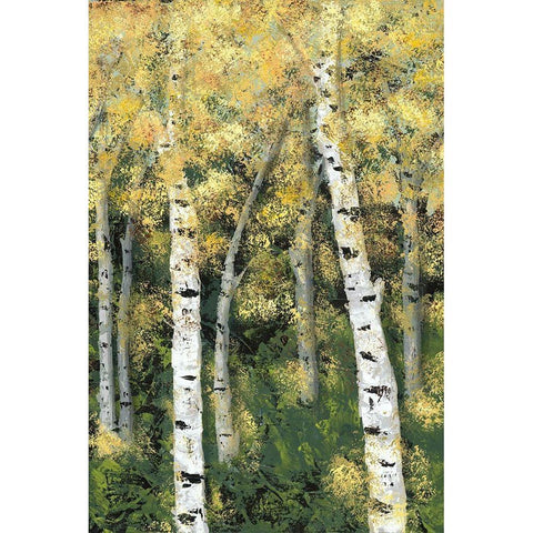 Birch Treeline III Black Modern Wood Framed Art Print by Reynolds, Jade