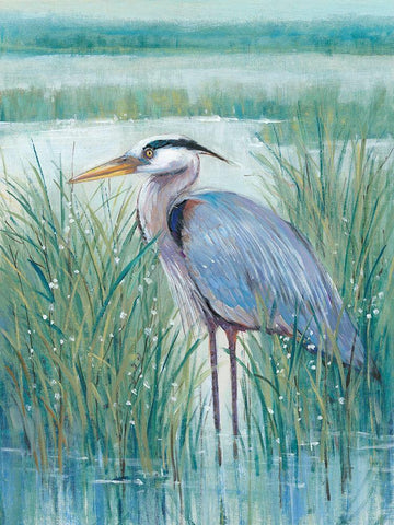 Wetland Heron II White Modern Wood Framed Art Print with Double Matting by OToole, Tim