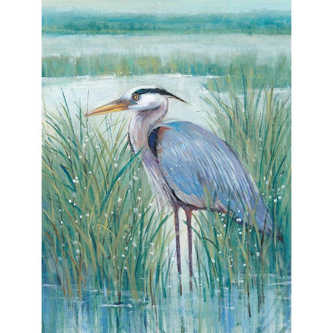 Wetland Heron II Black Modern Wood Framed Art Print with Double Matting by OToole, Tim