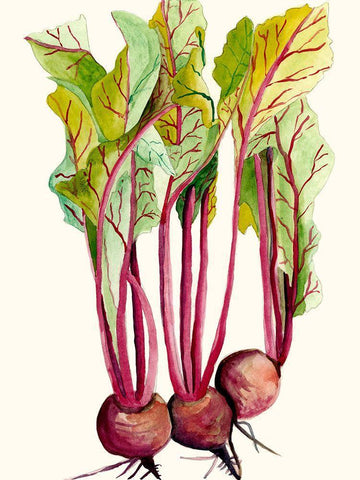 Early Harvest II White Modern Wood Framed Art Print with Double Matting by Ludwig, Alicia