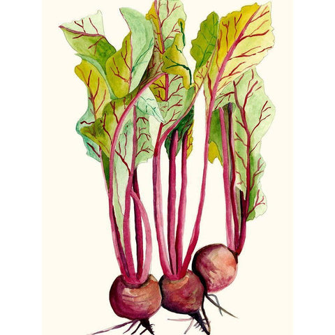 Early Harvest II White Modern Wood Framed Art Print by Ludwig, Alicia