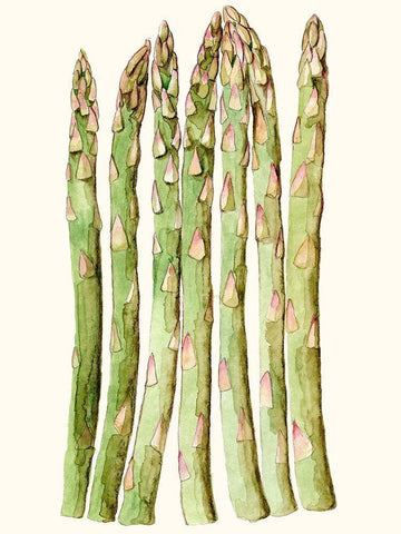 Early Harvest III White Modern Wood Framed Art Print with Double Matting by Ludwig, Alicia