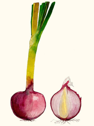 Early Harvest IV White Modern Wood Framed Art Print with Double Matting by Ludwig, Alicia