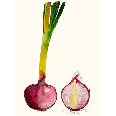 Early Harvest IV Black Modern Wood Framed Art Print by Ludwig, Alicia